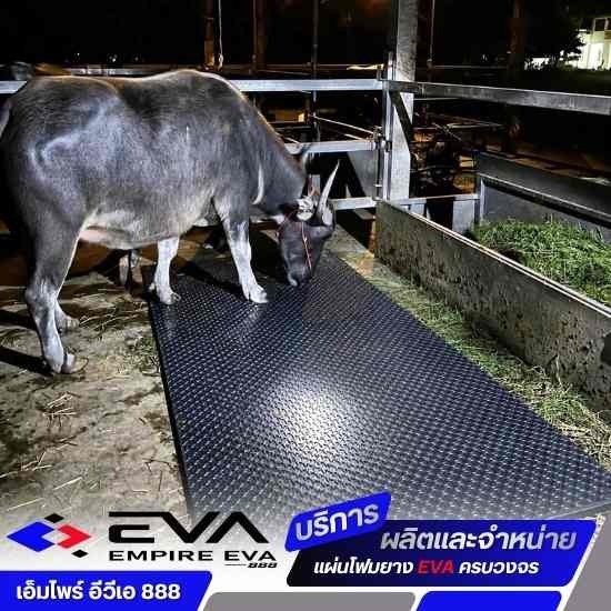 แผ่น EVA รองคอกสัตว์